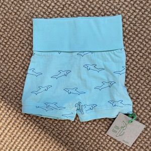 KQ Shark Shorts